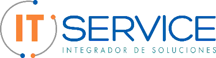 IT SERVICE